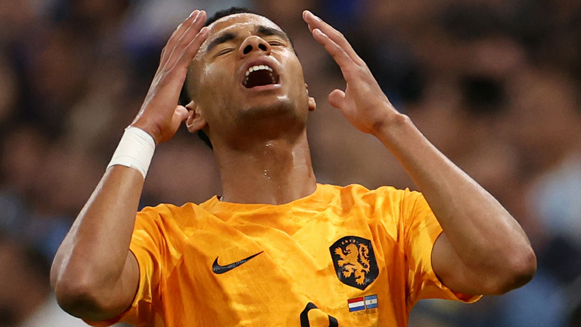 Cody Gakpo Netherlands 2022 World Cup