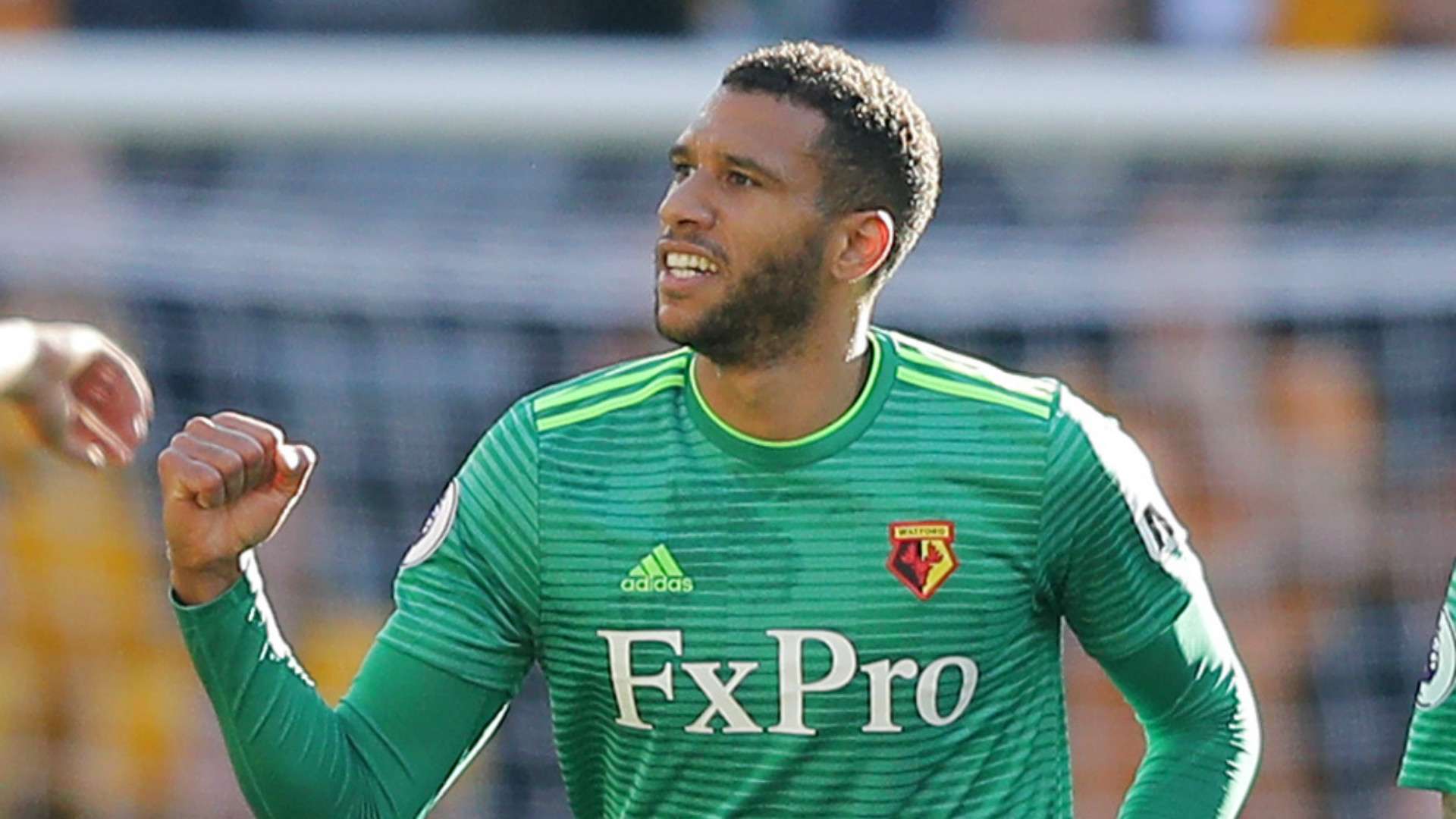 Etienne Capoue Watford 2018-19