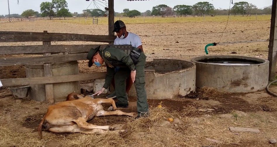 Miguel Borja en su finca en Tierra Alta
