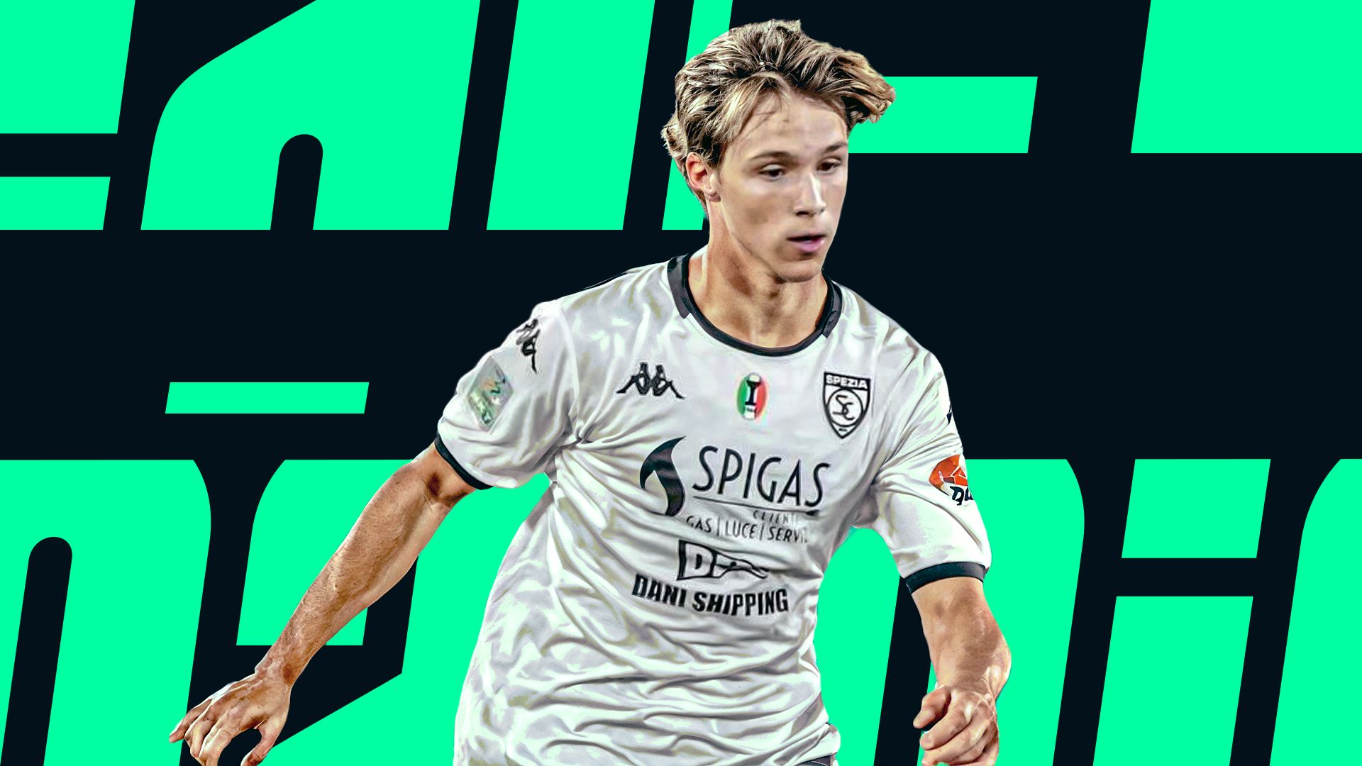 grafica cm comotto spezia