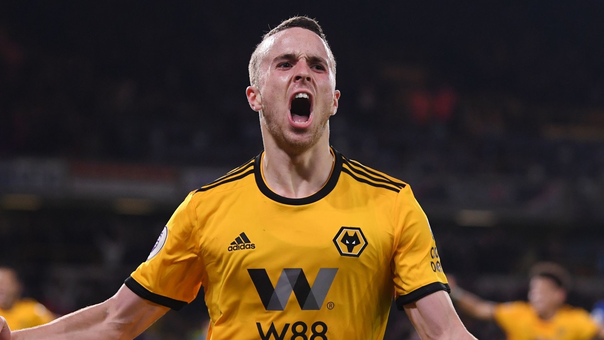 Diogo Jota, Wolverhampton Wanderers