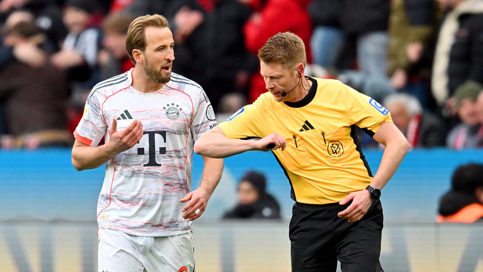 harry kane christian dingert bayern leverkusen