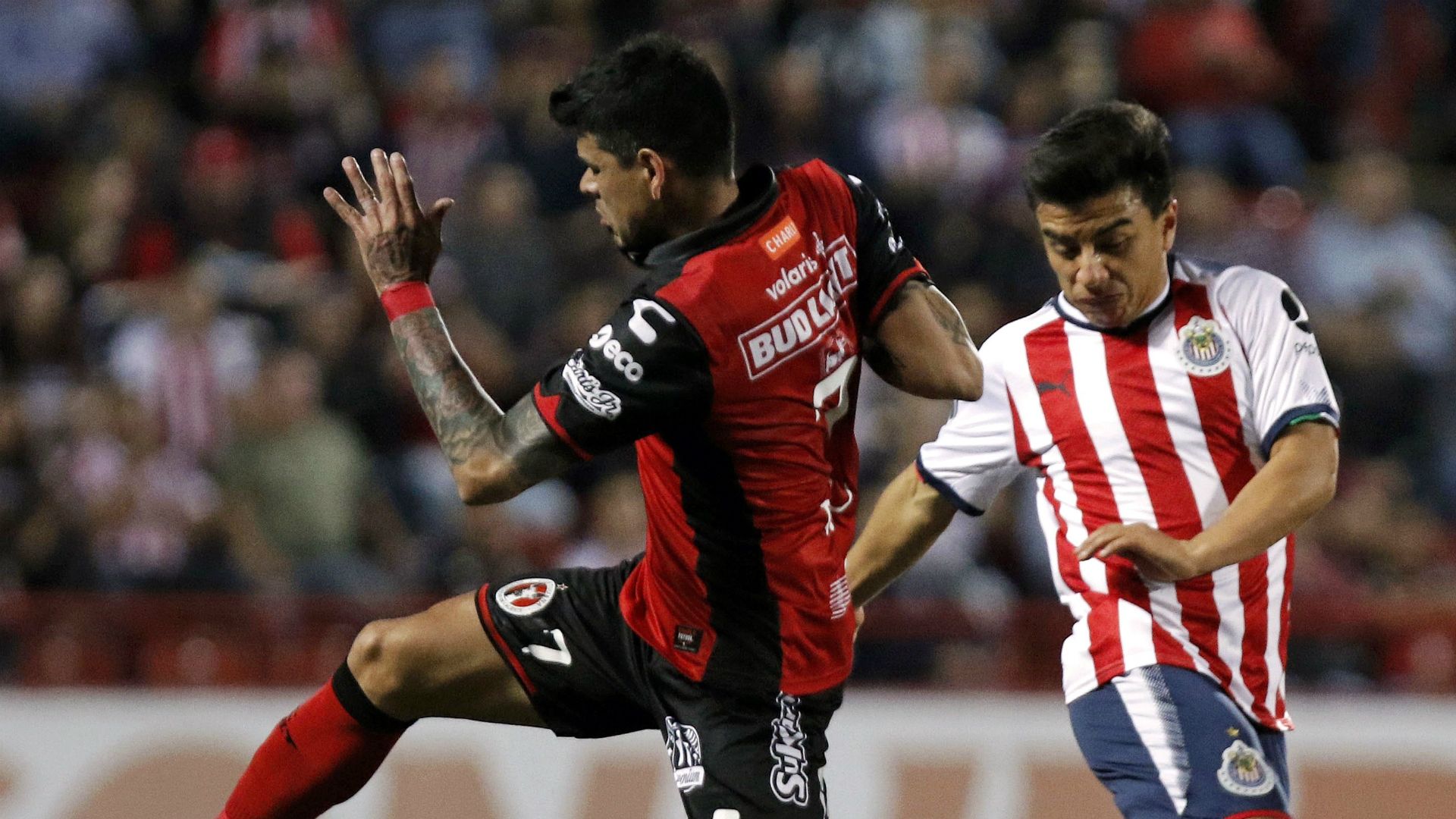 Xolos Chivas