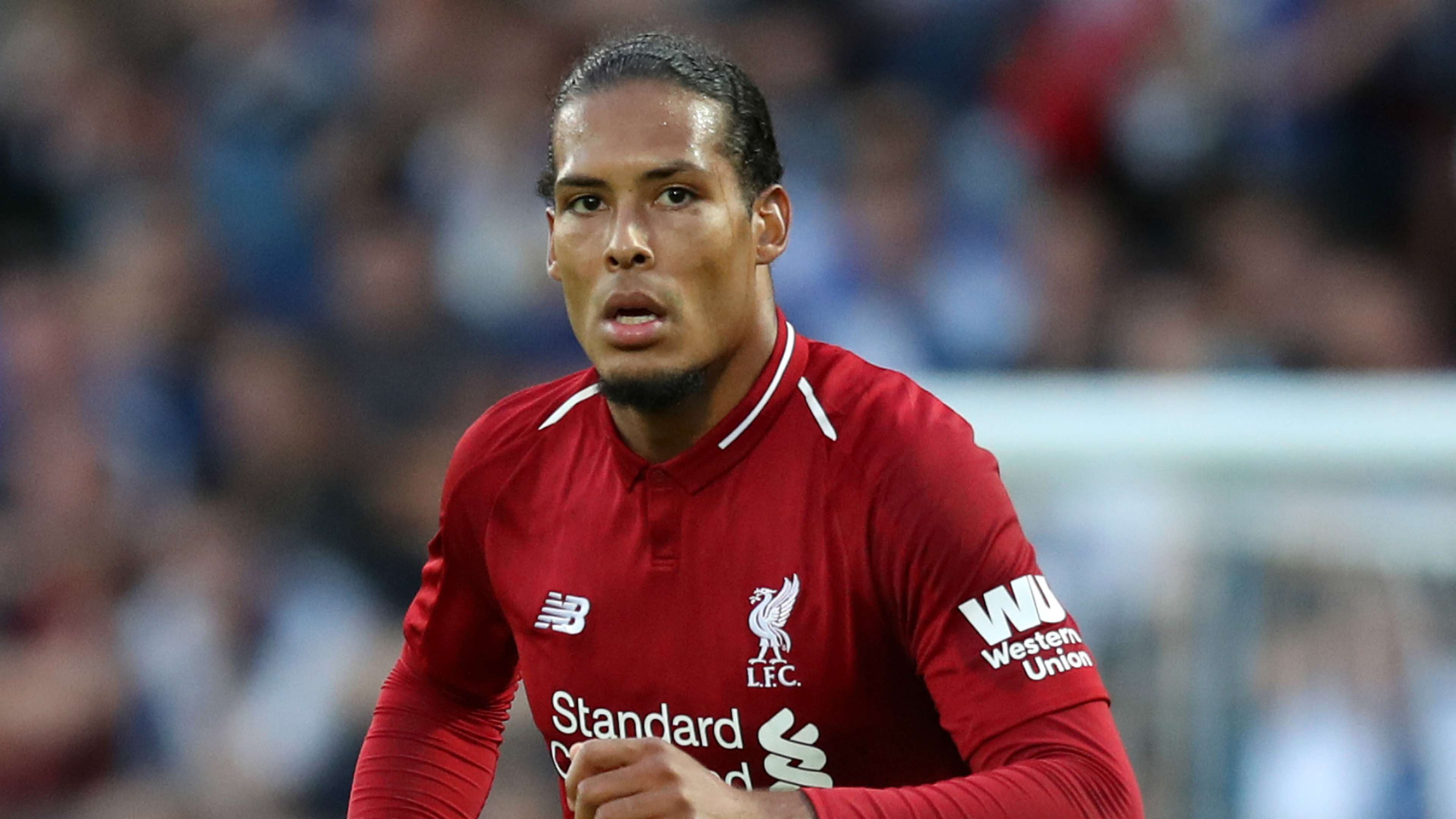Virgil van Dijk Liverpool 2018-19