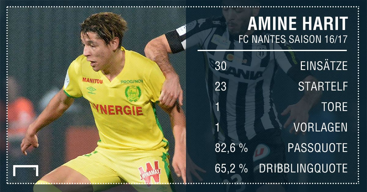 GFX Amine Harit