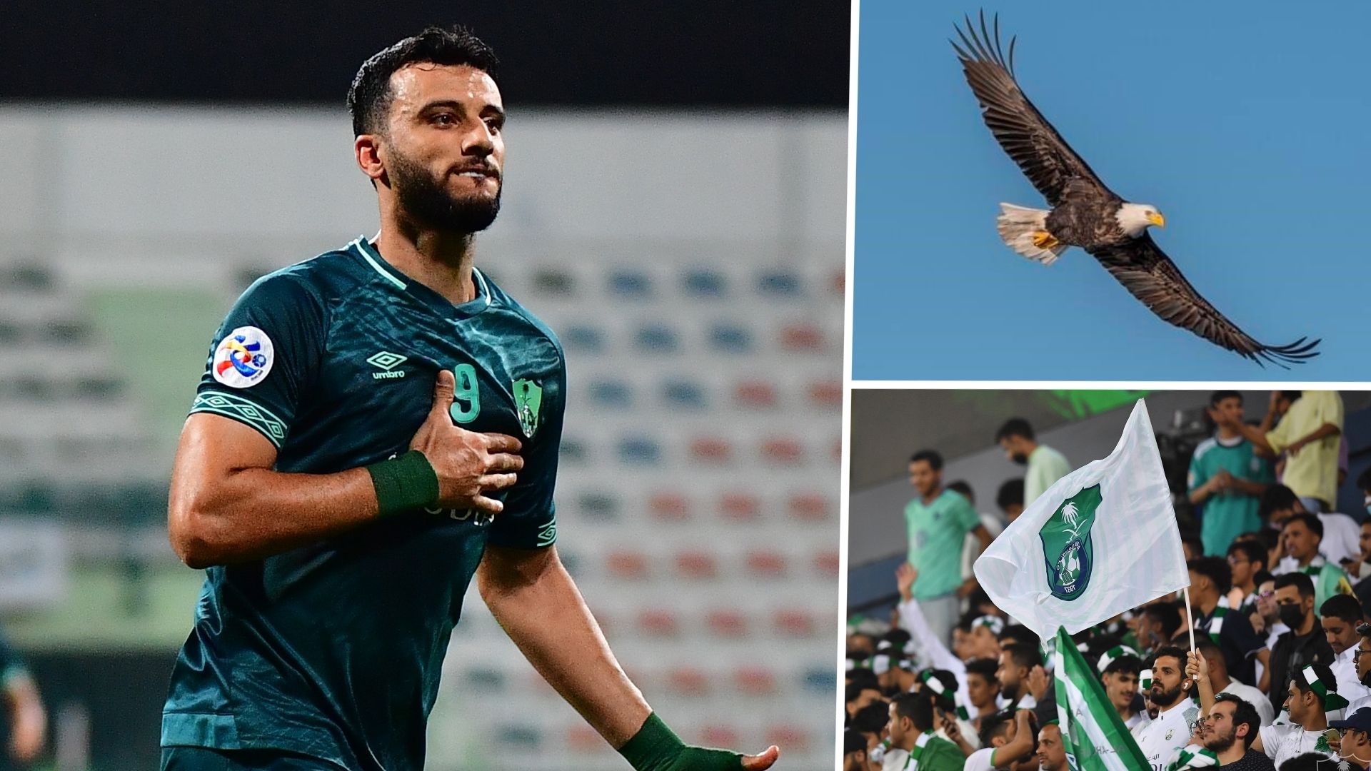 al ahli - omar al somah