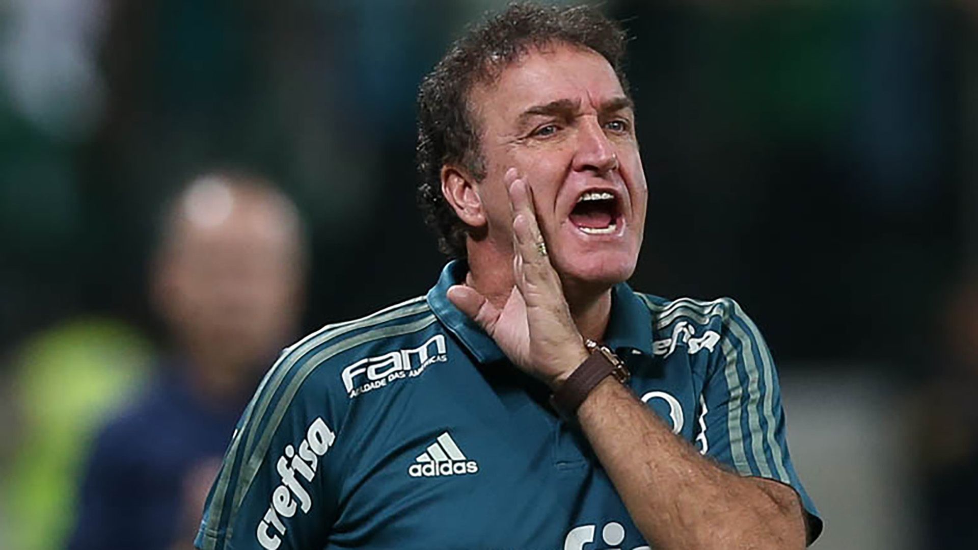 Cuca Palmeiras Cruzeiro Copa do Brasil 28062017