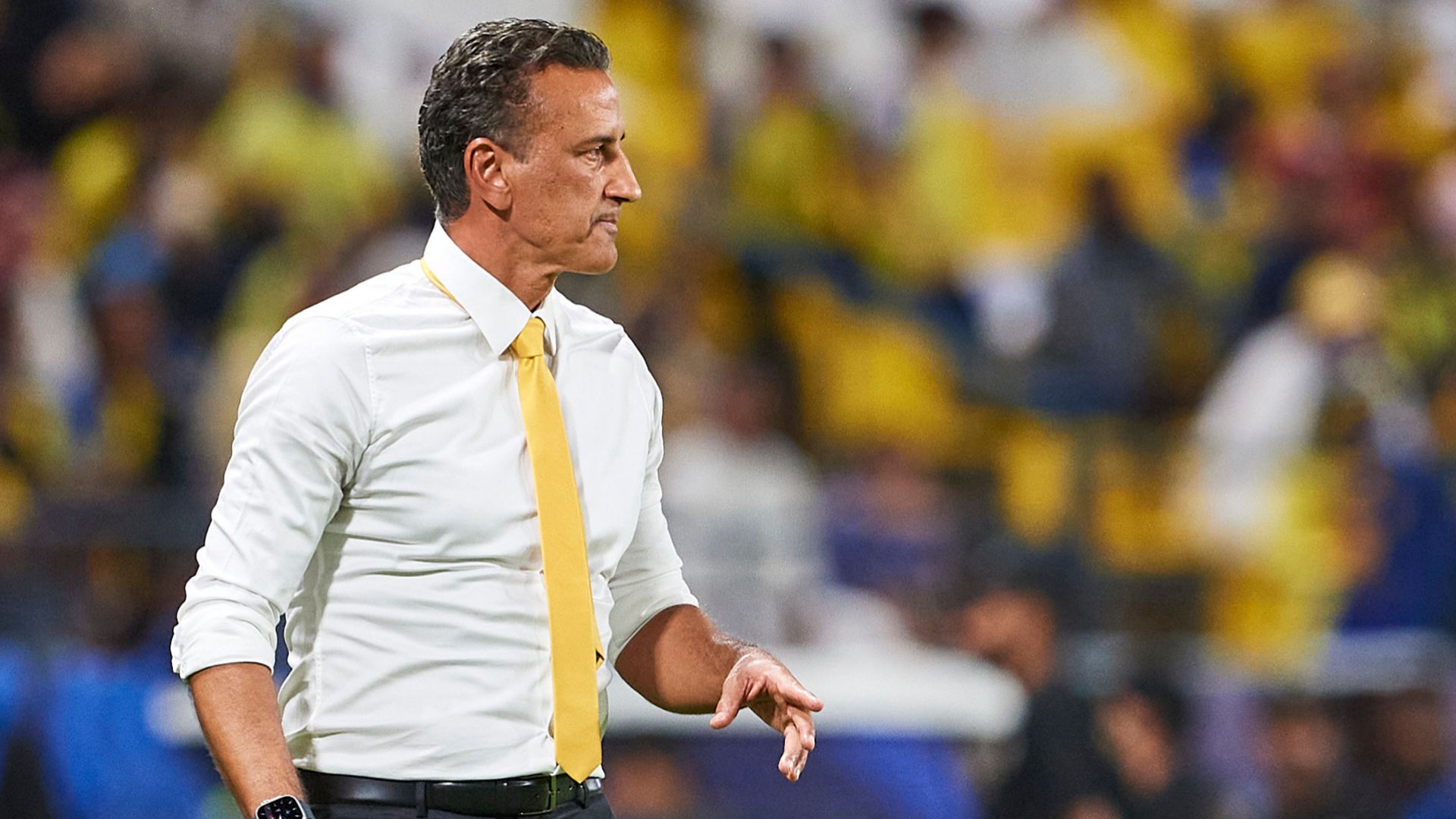 Al-Taawoun manager 2023