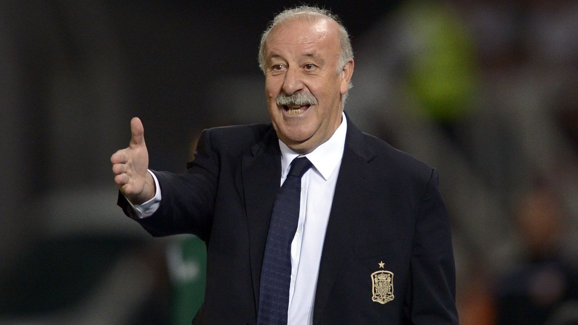 Vicente Del Bosque