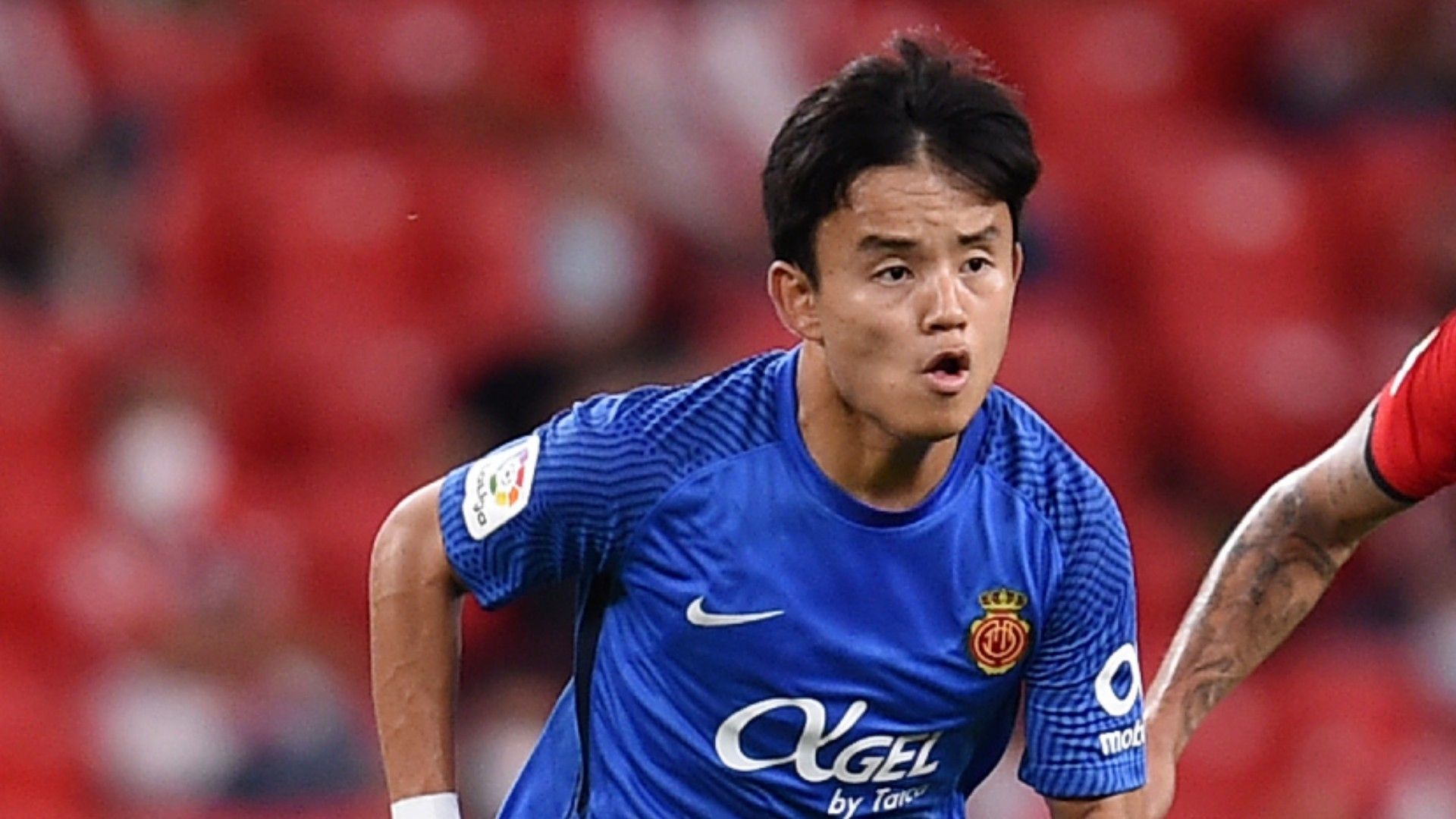 fa9b5b1f9b6d62c67c69efe7141e56