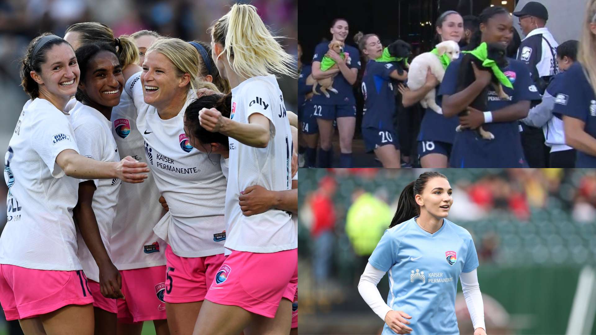 San Diego Wave rescue dogs