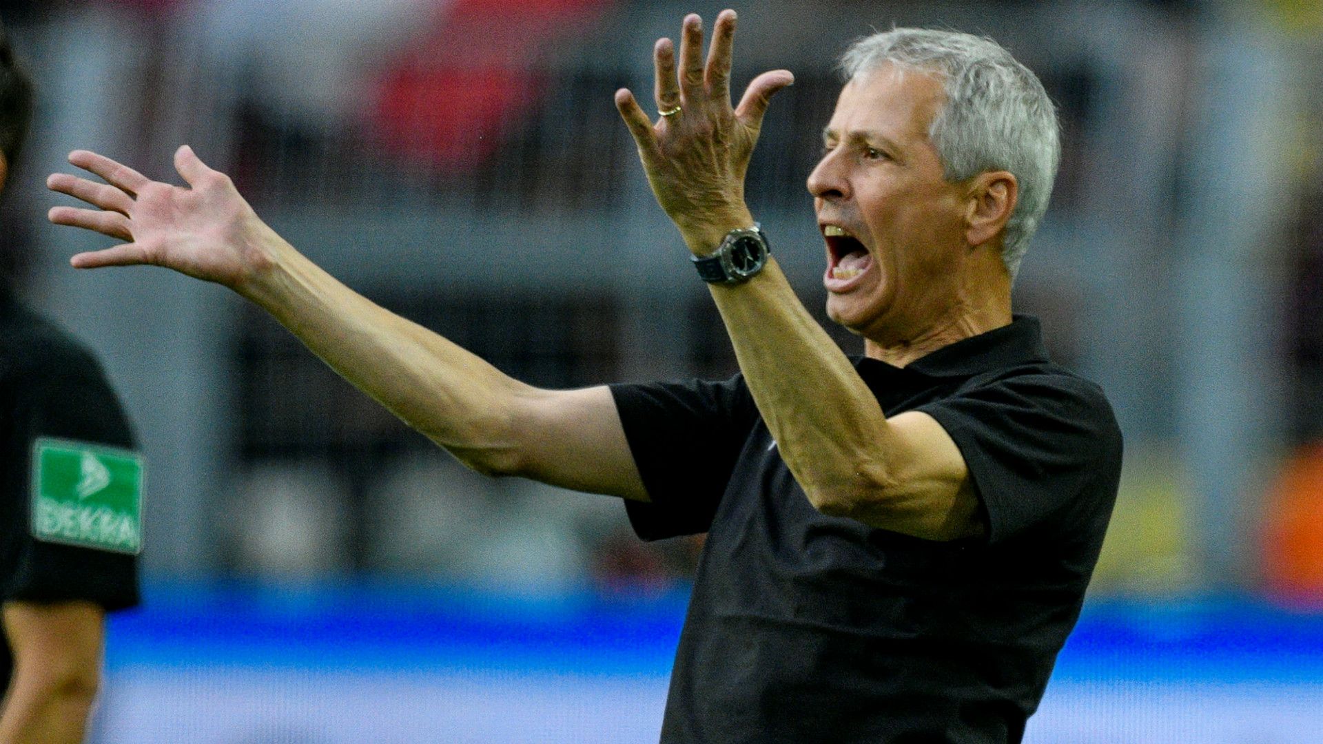 Lucien Favre Borussia Dortmund