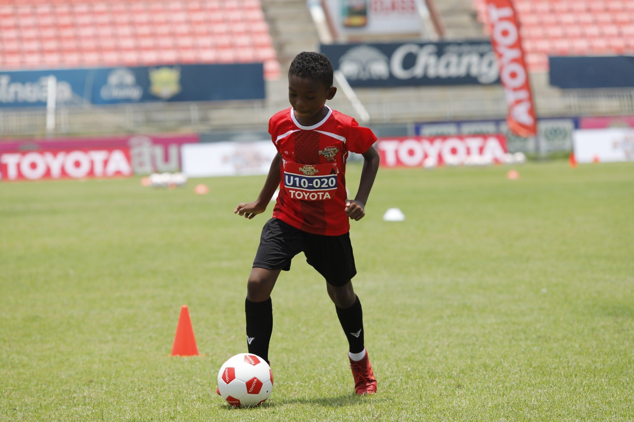 กวิน ดิโรมีโอ