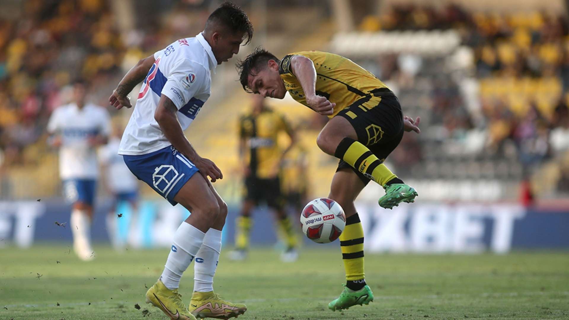 23022023 César Pinares Juan Cornejo Coquimbo Universidad Católica