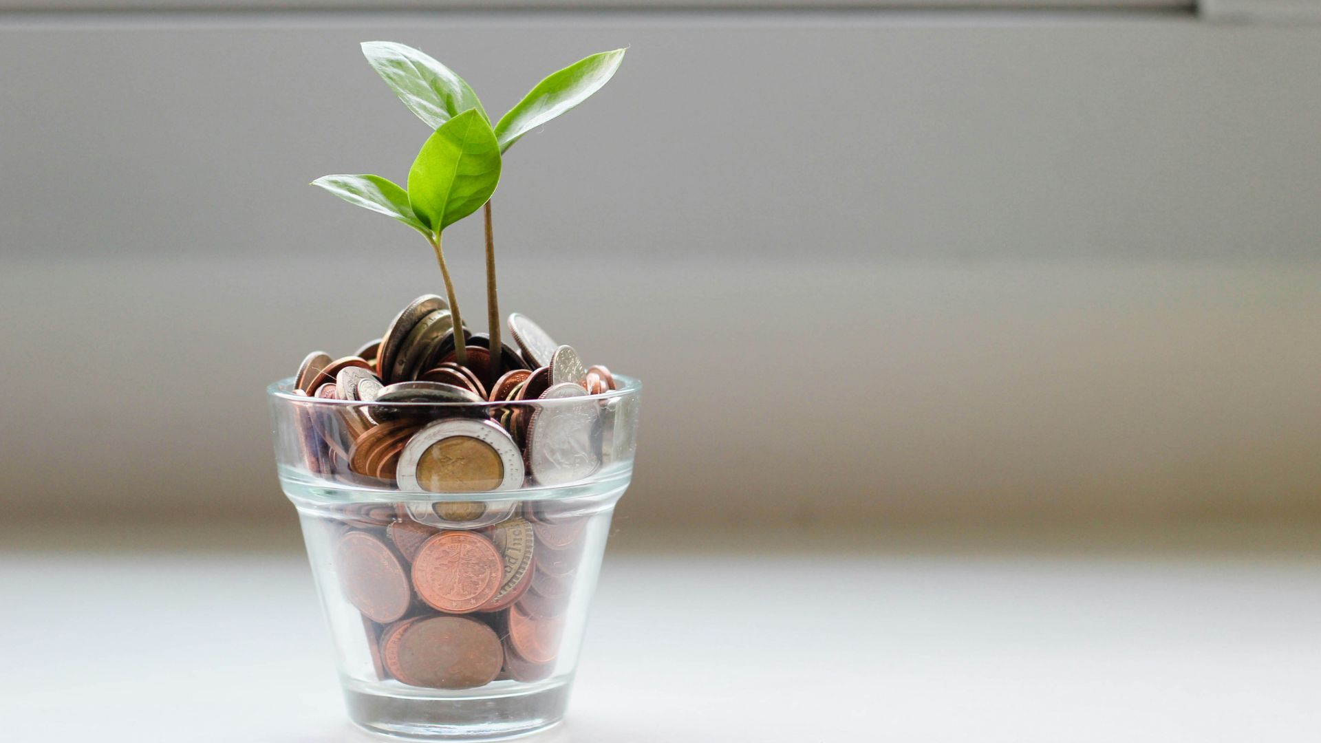 Saving vs Investing