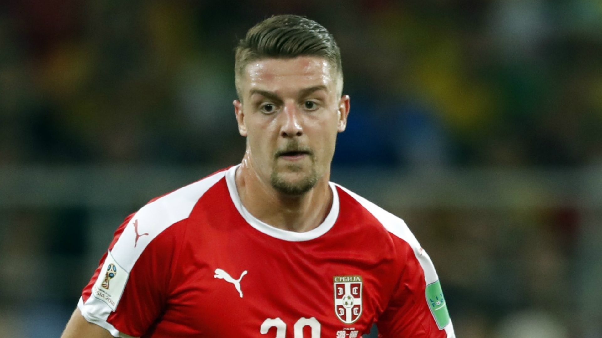 sergejmilinkovicsavic