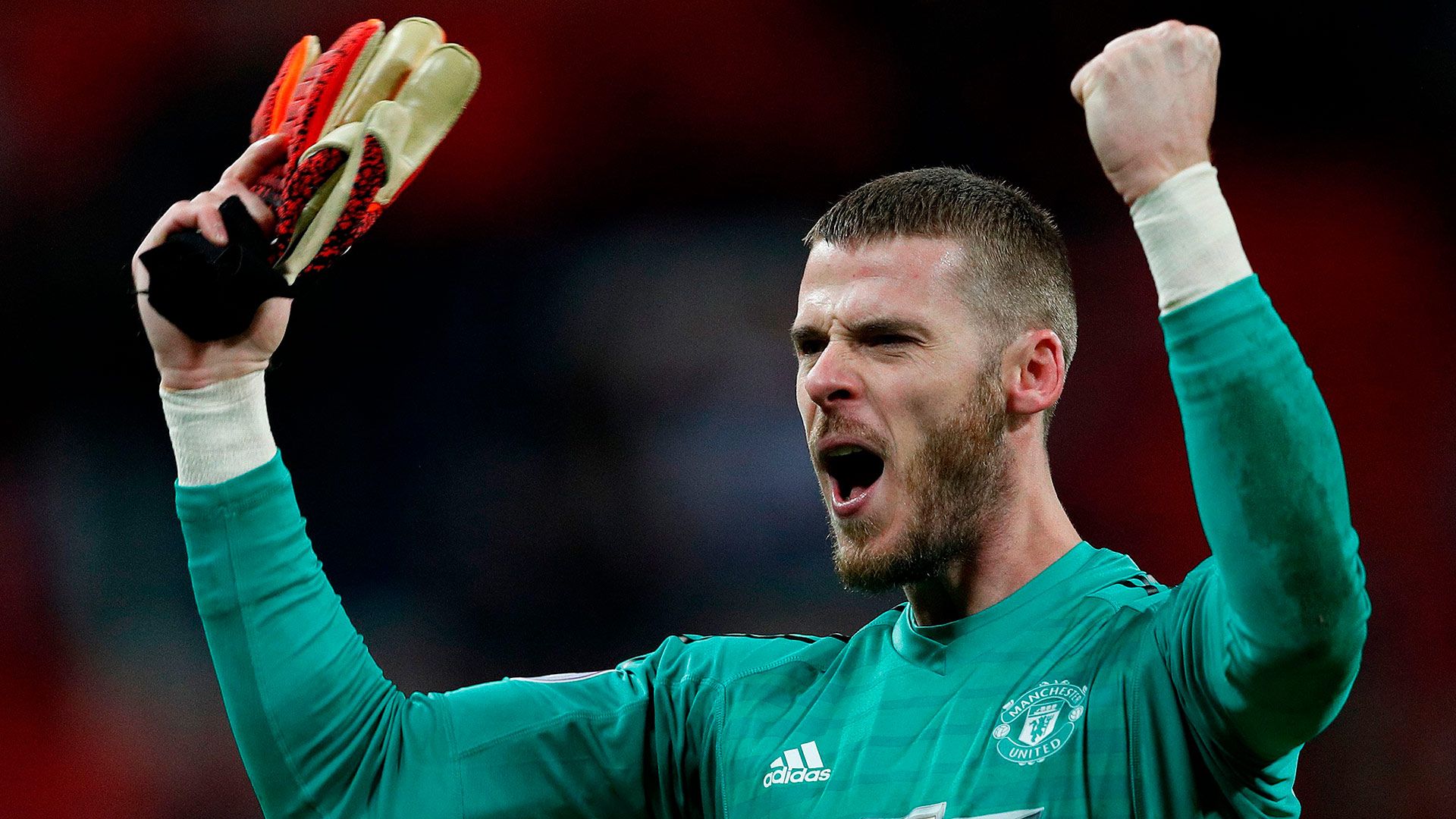 2019_1_17_degea