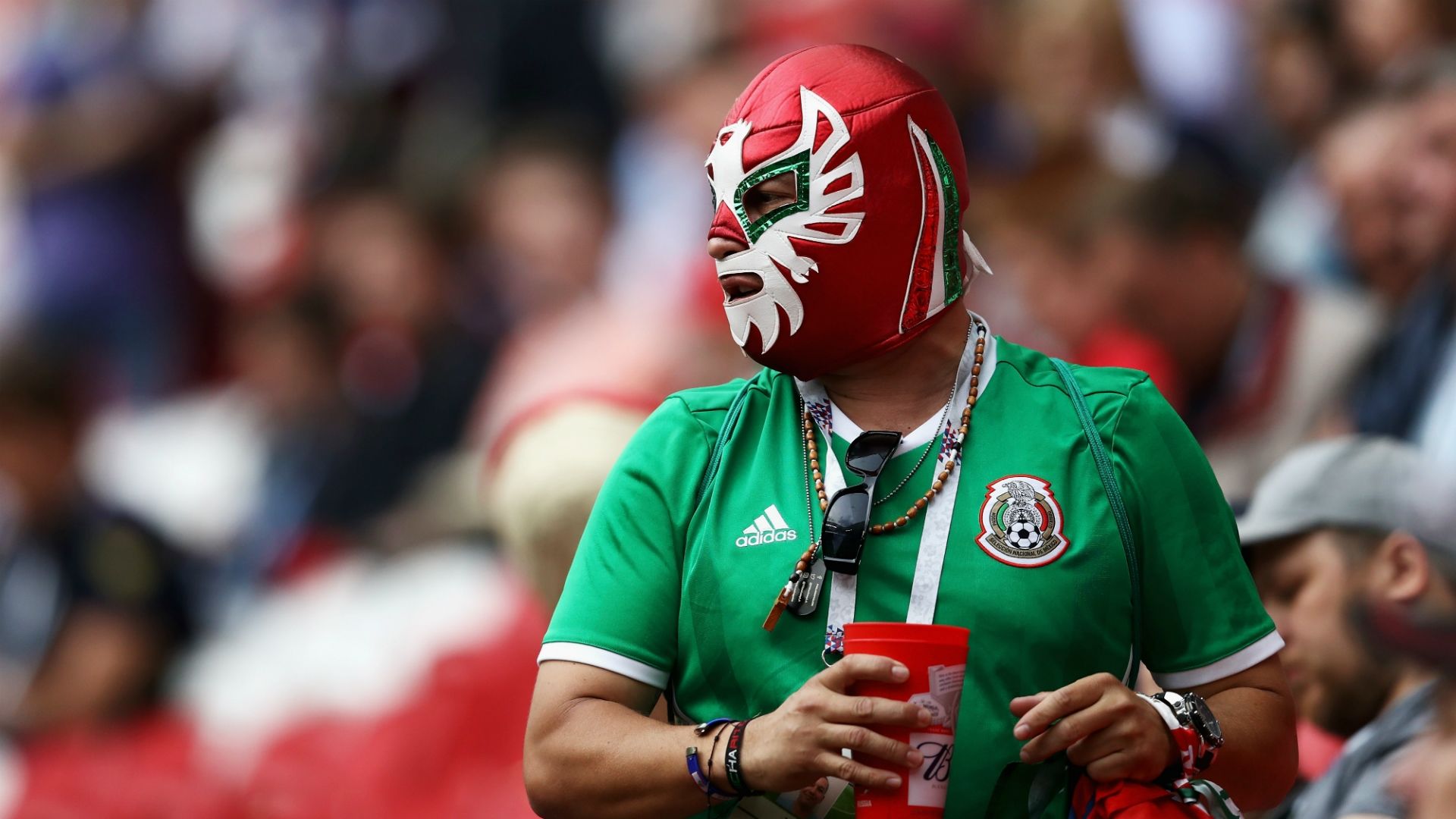 México fanático Copa Confederaciones