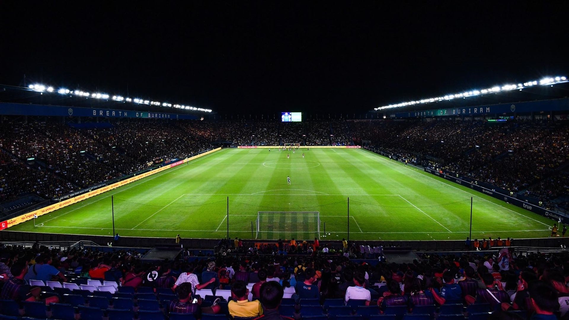 ช้างอารีนา