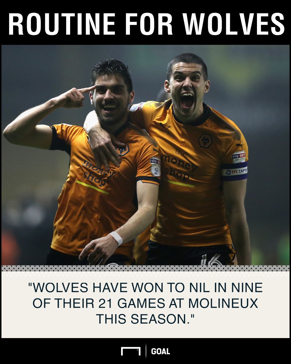 Wolves Birmingham graphic