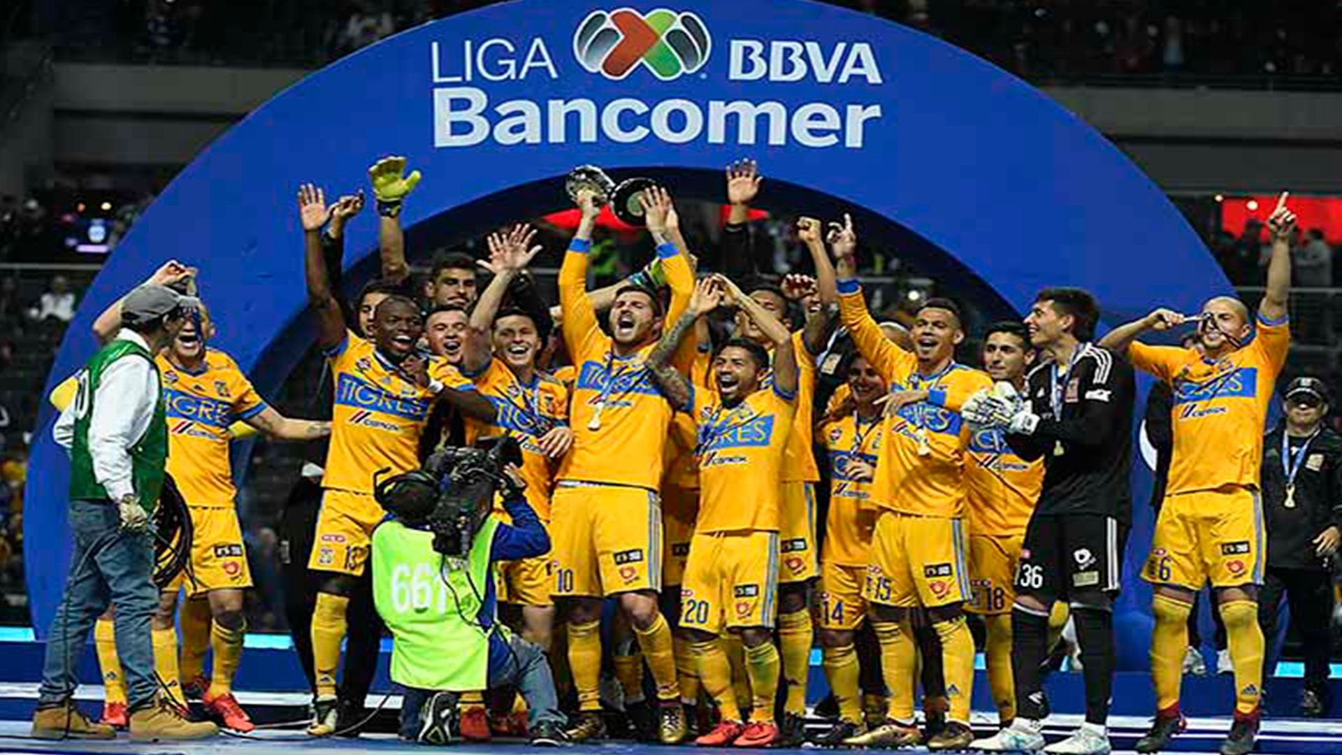 Tigres Campeón