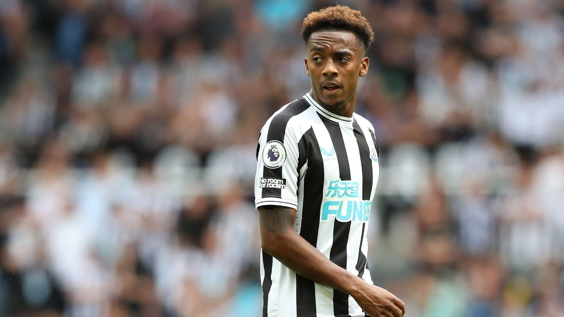 Joe Willock Newcastle 2022-23