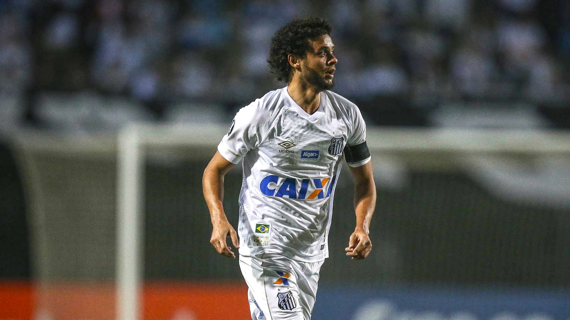 Victor Ferraz Santos Independiente Copa Libertadores 28082018