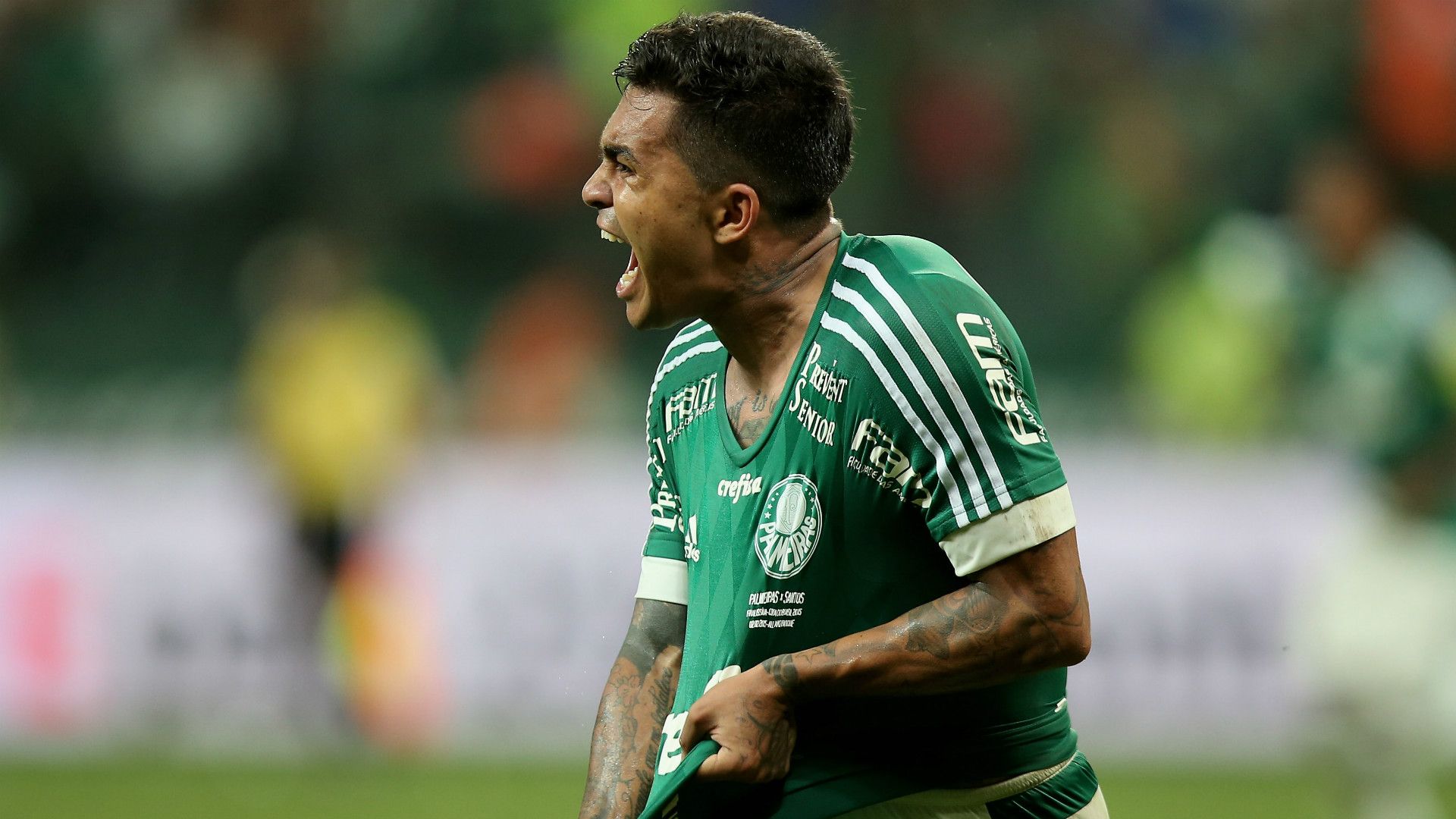 Dudu Palmeiras Santos Copa do Brasil 02122015