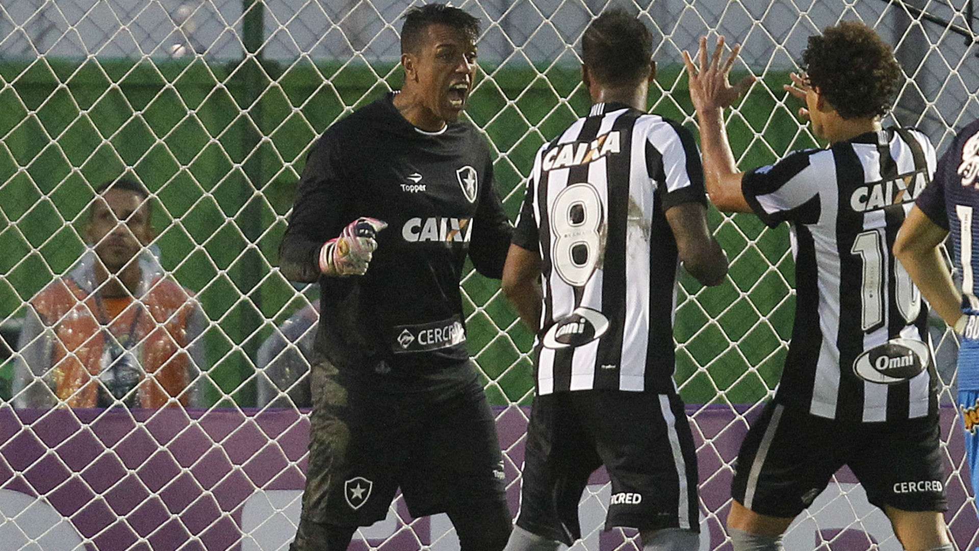 Sidão Botafogo Corinthians Brasileiro 14 11 2016
