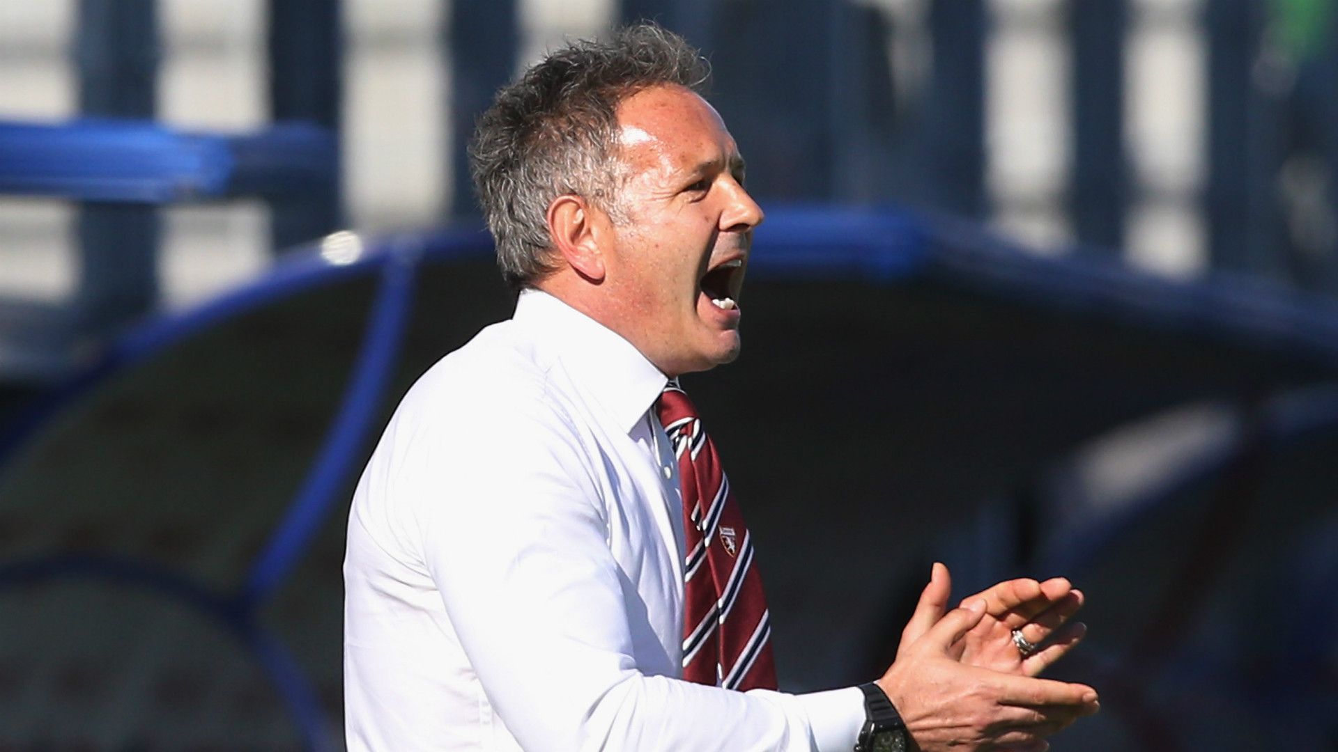 Sinisa Mihajlovic, Torino, Serie A, 15102017