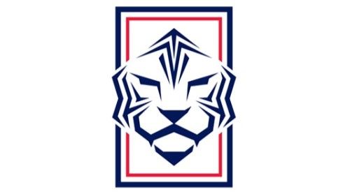 대한축구협회 로고