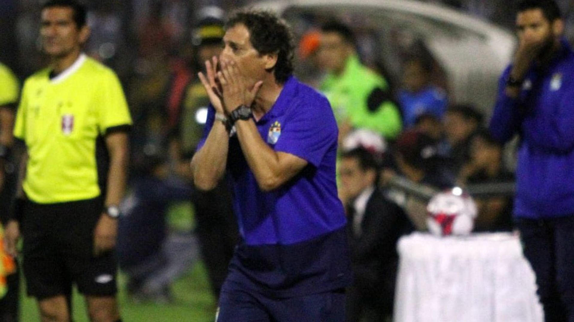 Mario Salas