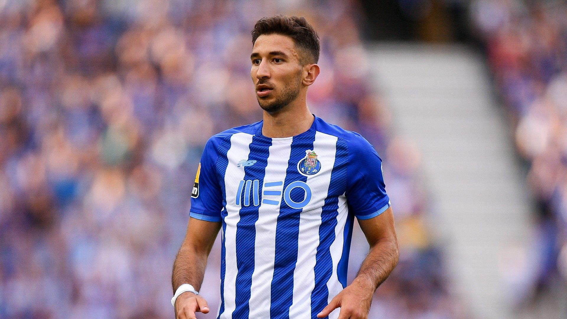 Marko Grujic Porto 2022-23