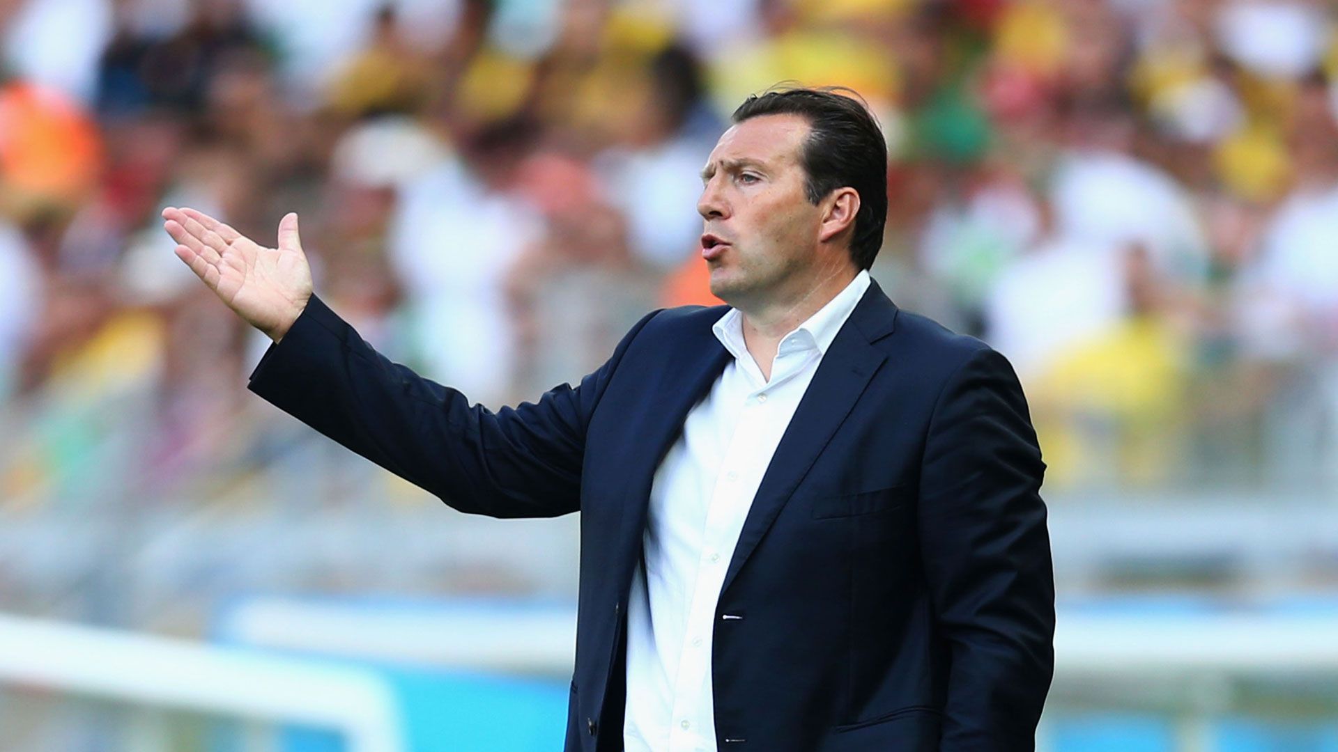 Marc Wilmots, Belgien