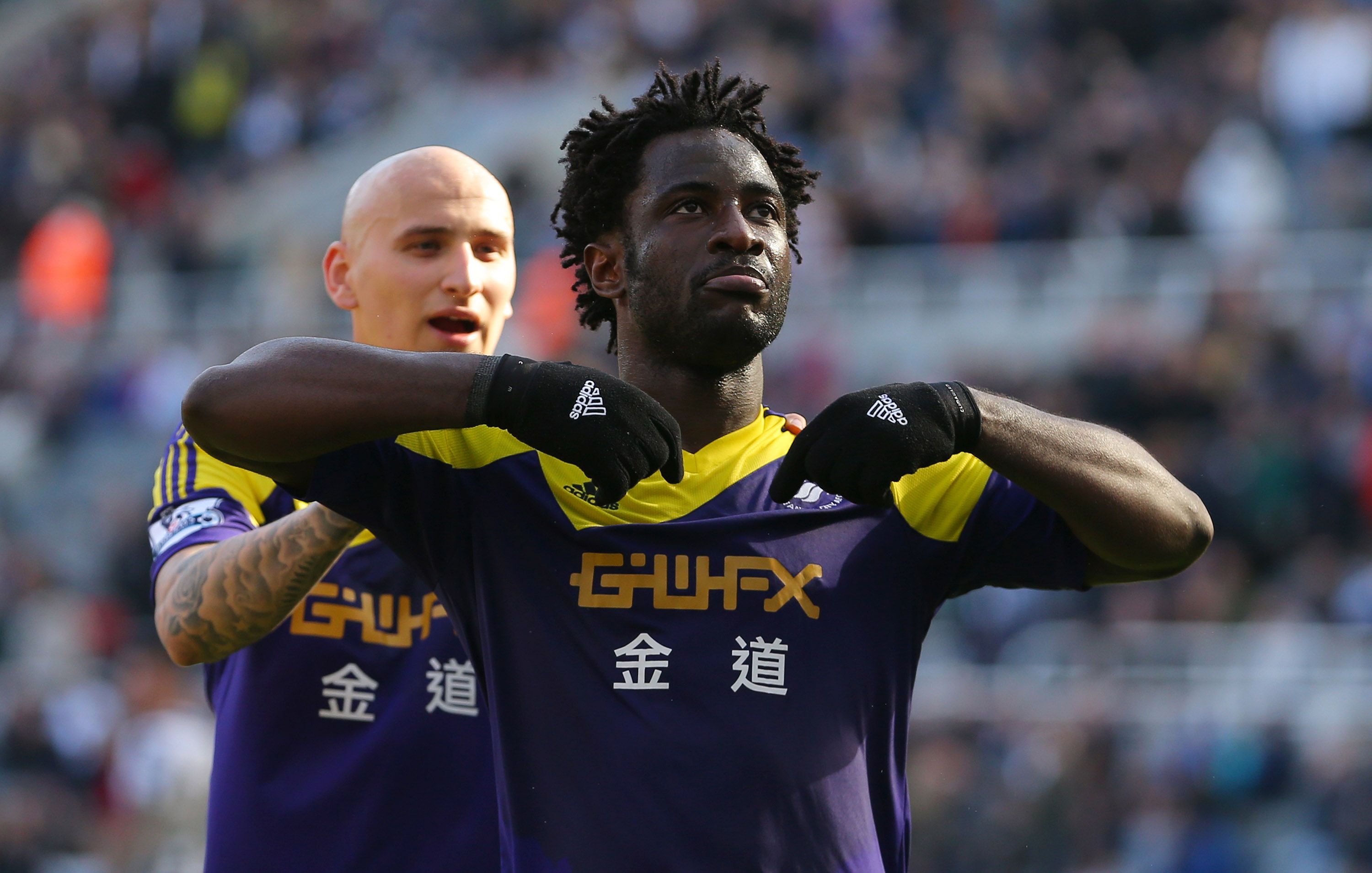 Swansea City striker Wilfried Bony