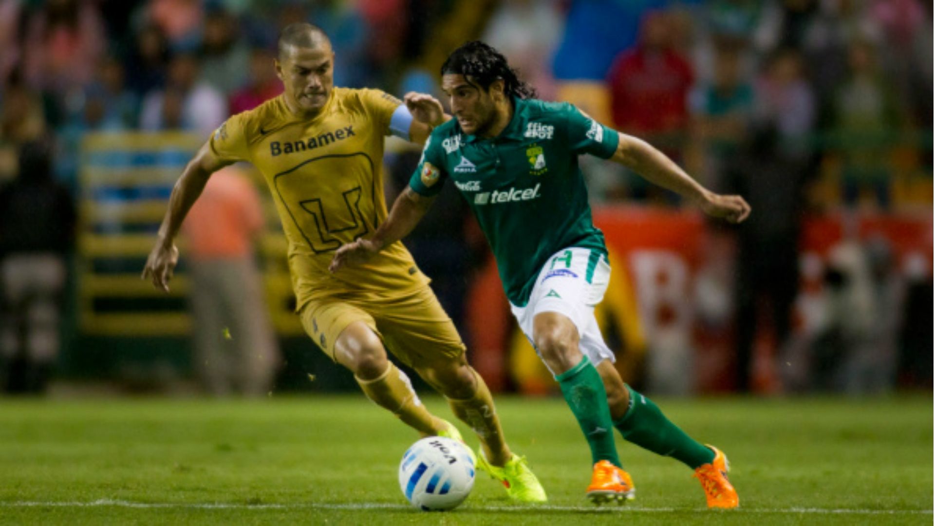 Martín Bravo, León