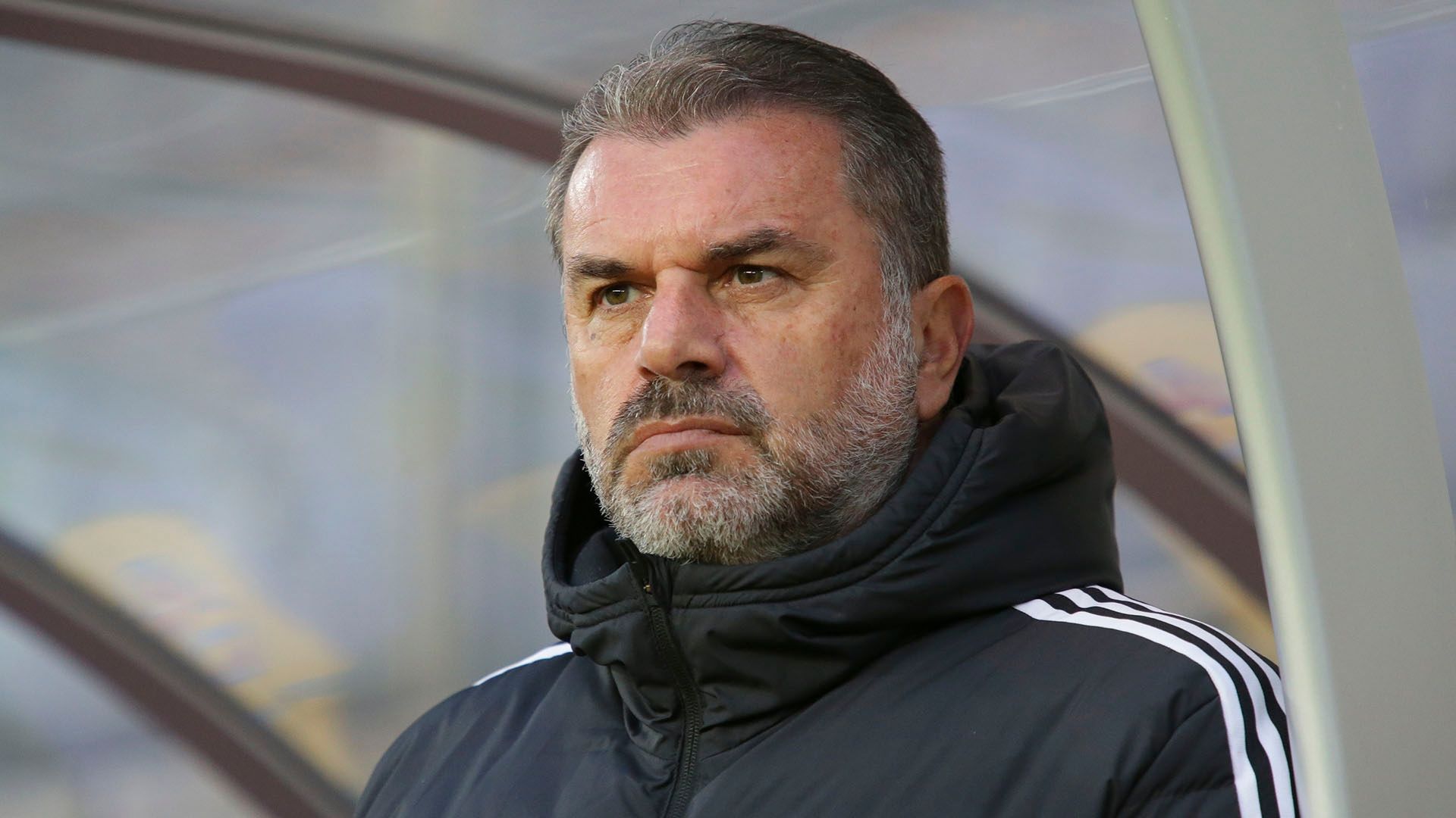 Ange Postecoglou