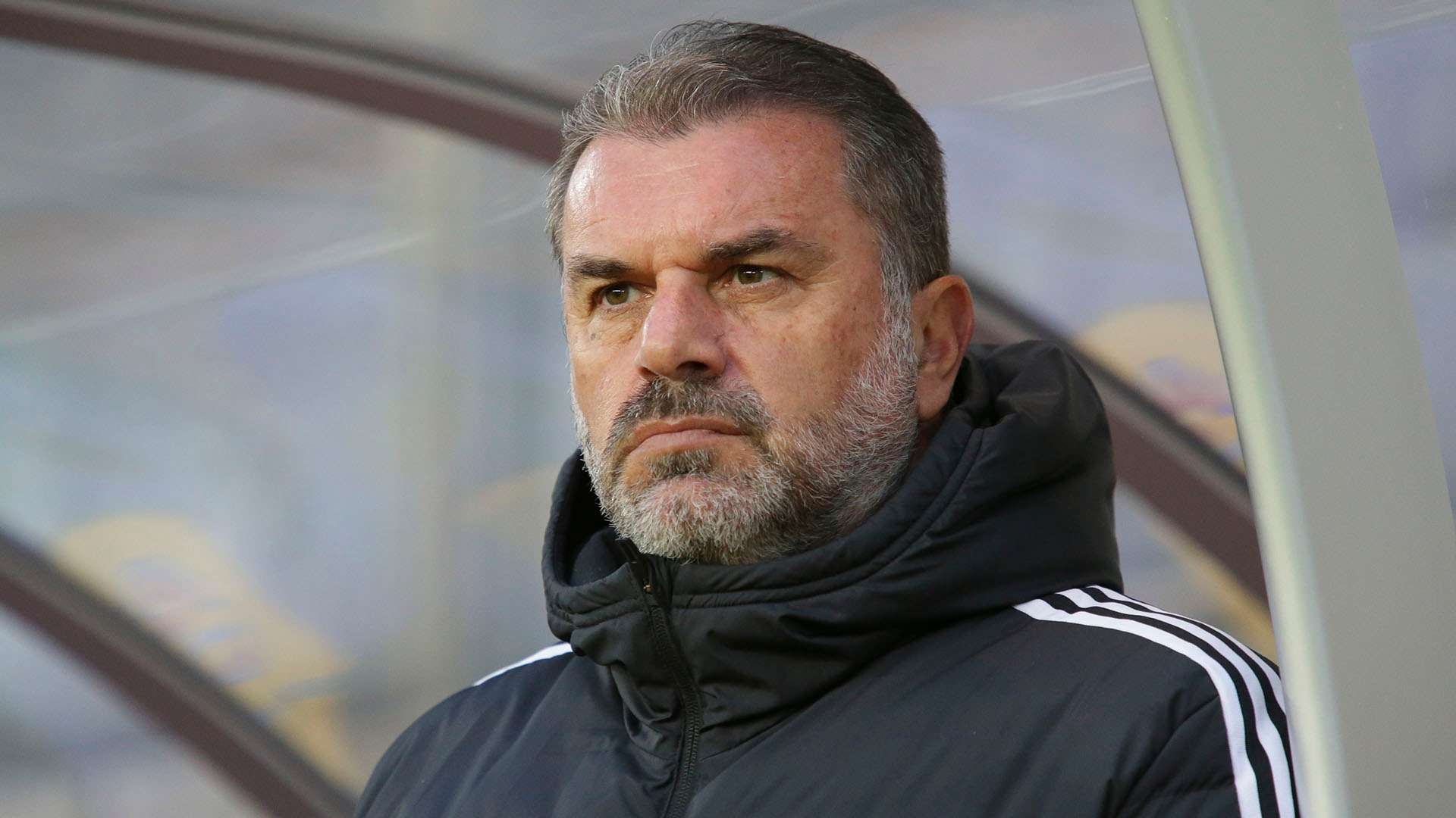 Ange Postecoglou