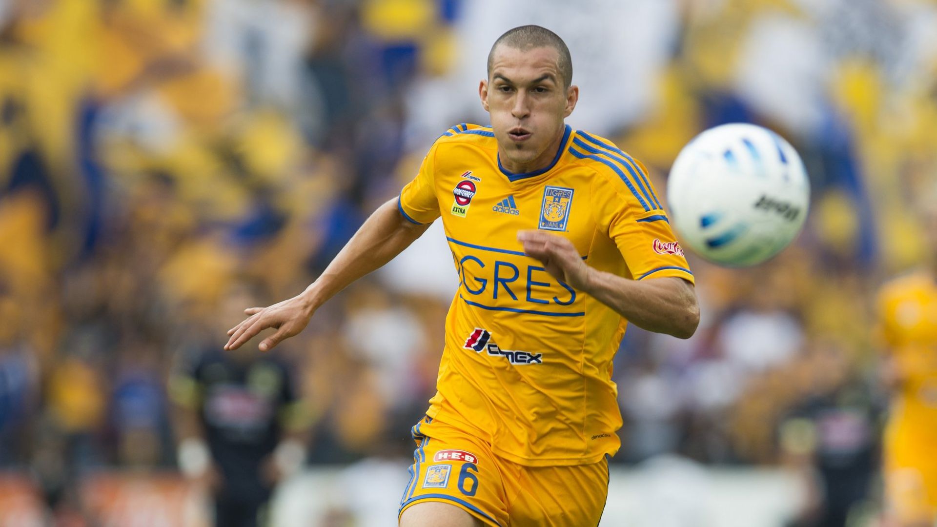 Jorge Torres Nilo Tigres