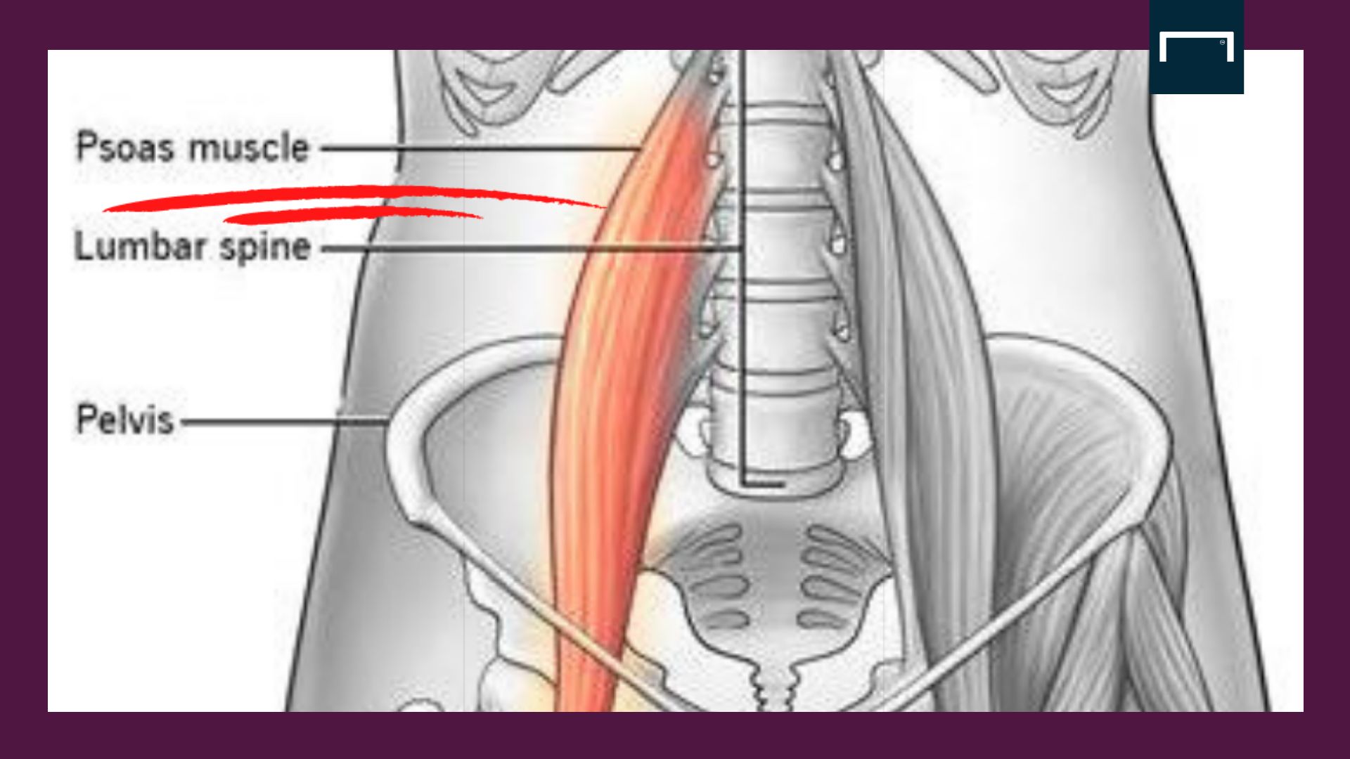 إصابة هازارد