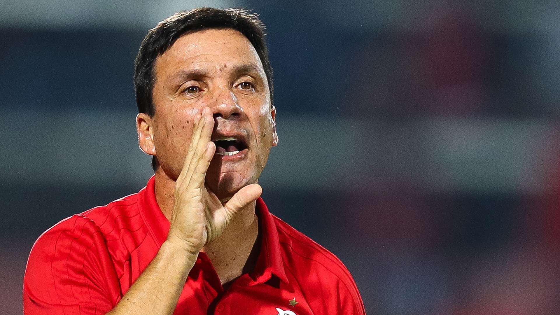 Ze Ricardo Palmeiras Flamengo Brasileirao Serie A 19072017