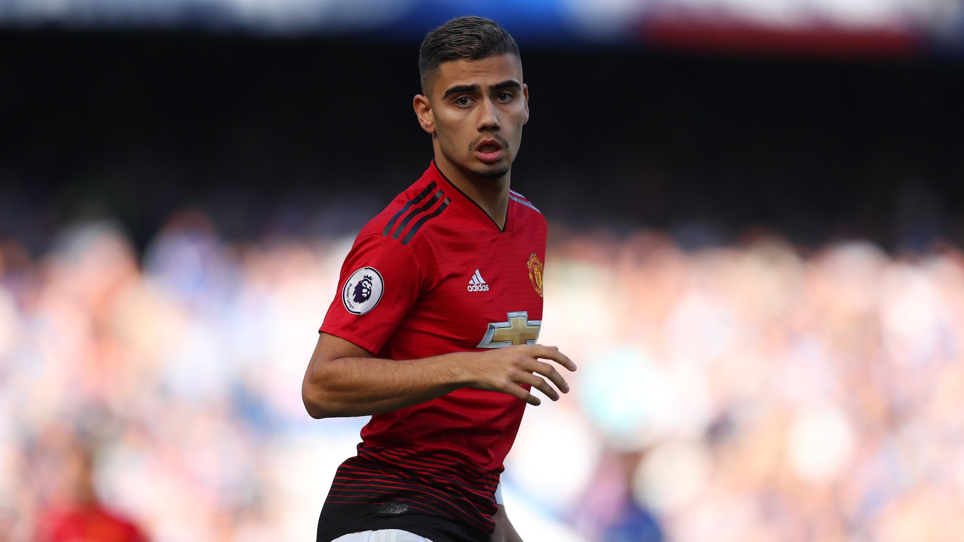 Andreas Pereira - Manchester United