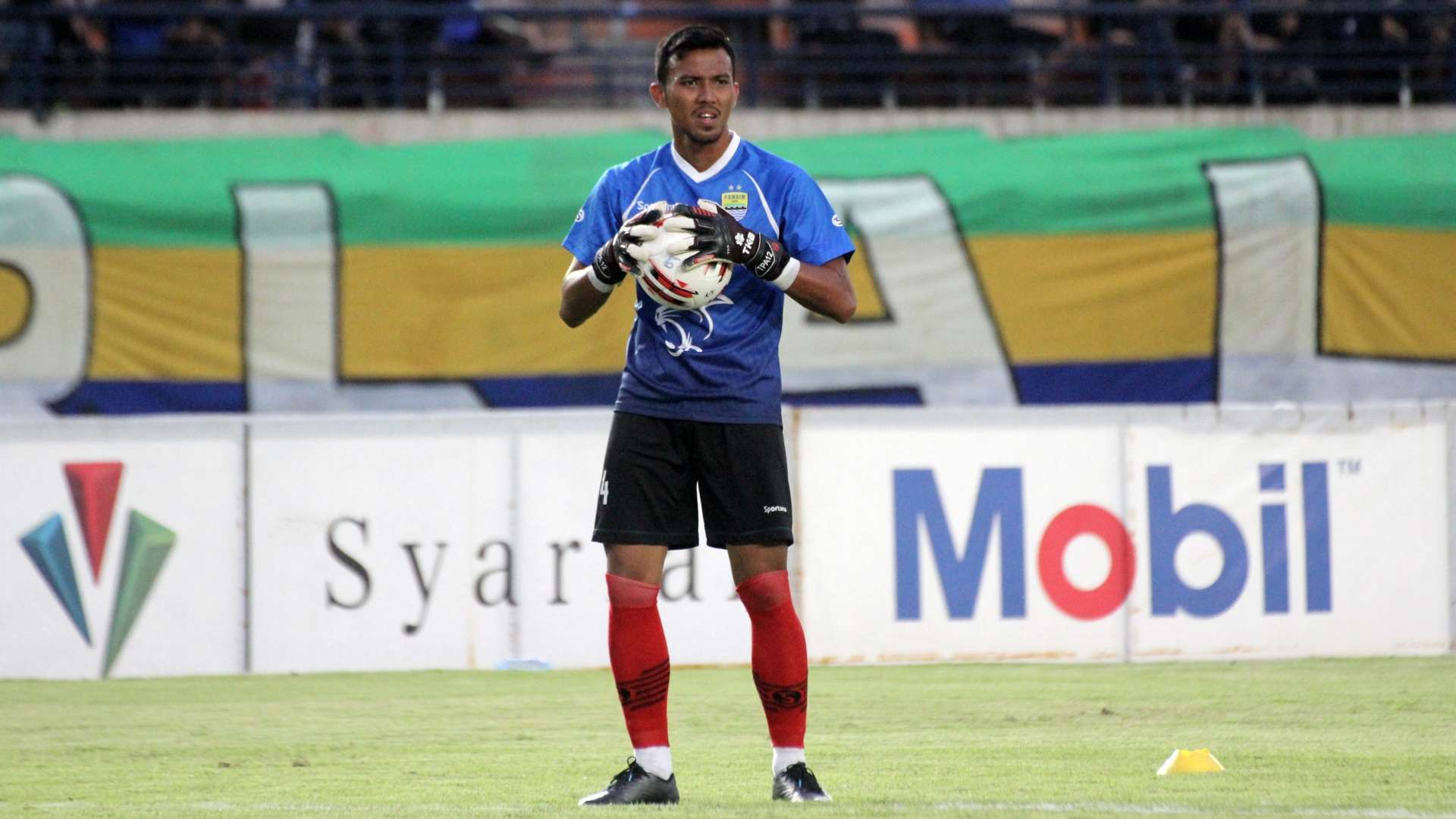 Teja Paku Alam Persib Bandung