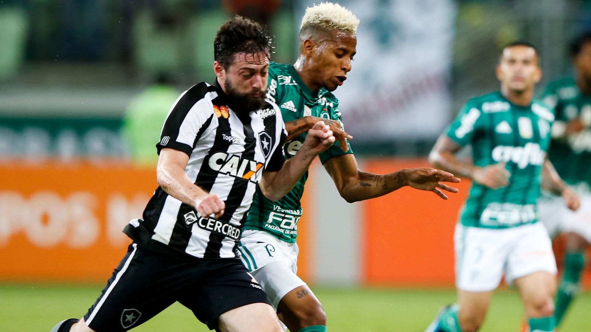 Joao Paulo Tche Tche Palmeiras Botafogo Brasileirao Serie A 27112017