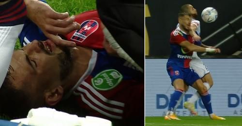 Hangya Szilveszter fog