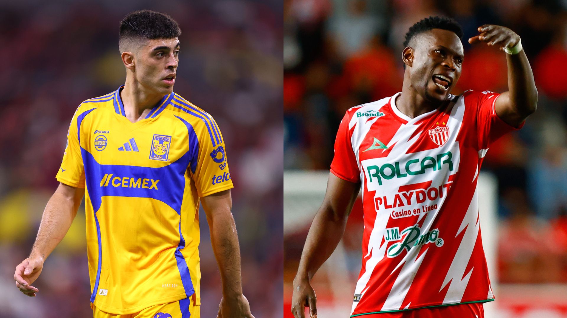 Tigres Necaxa Clausura 2025 Liga MX