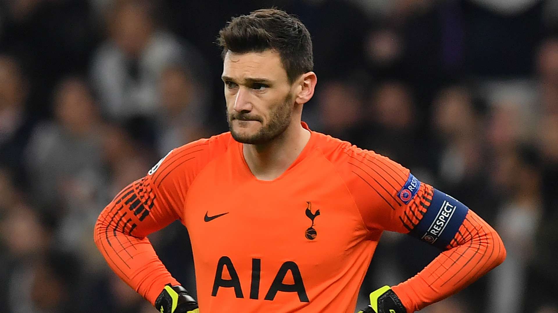 Hugo Lloris Tottenham 2018-19