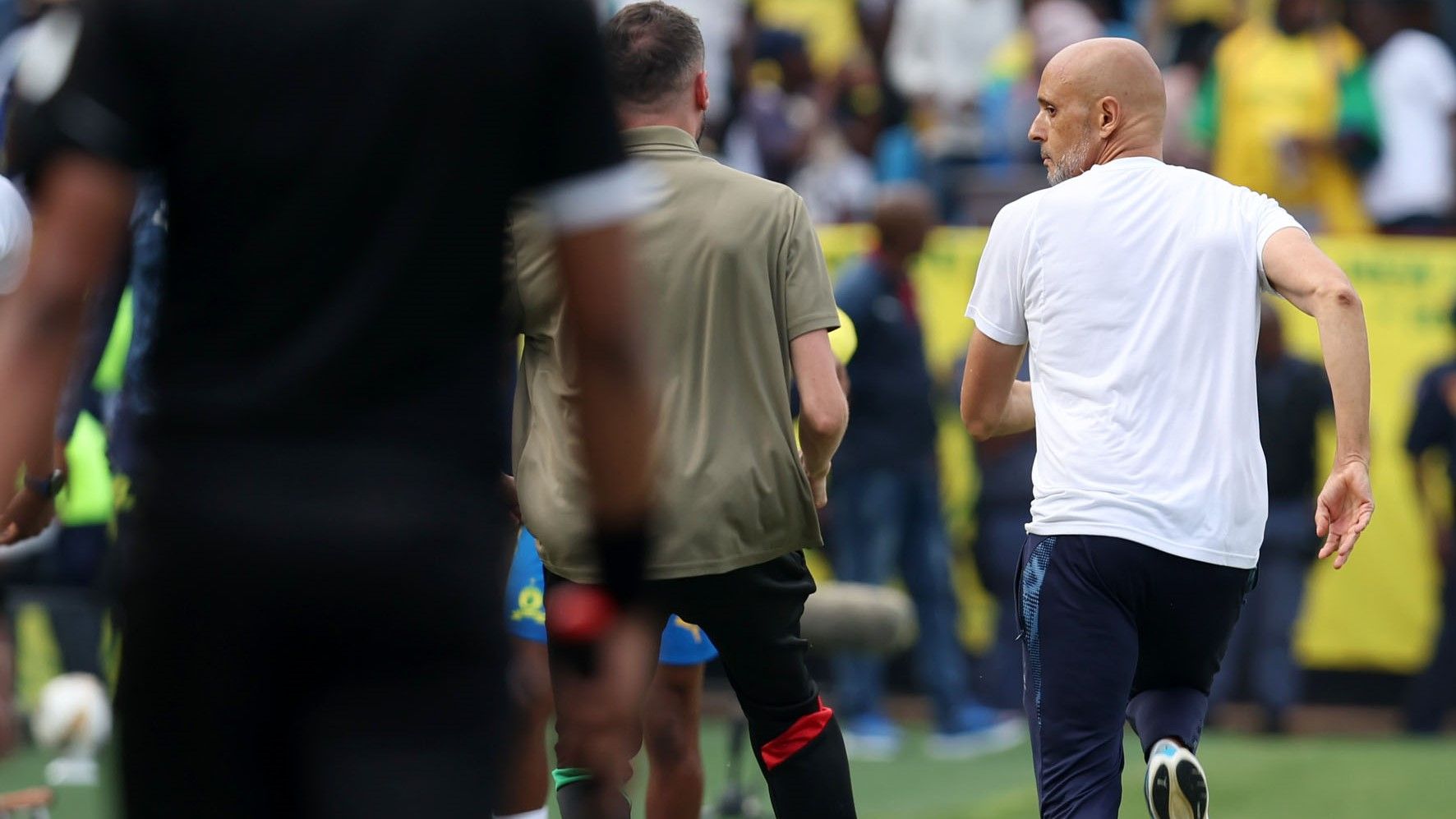 Miguel Cardoso, February 2026