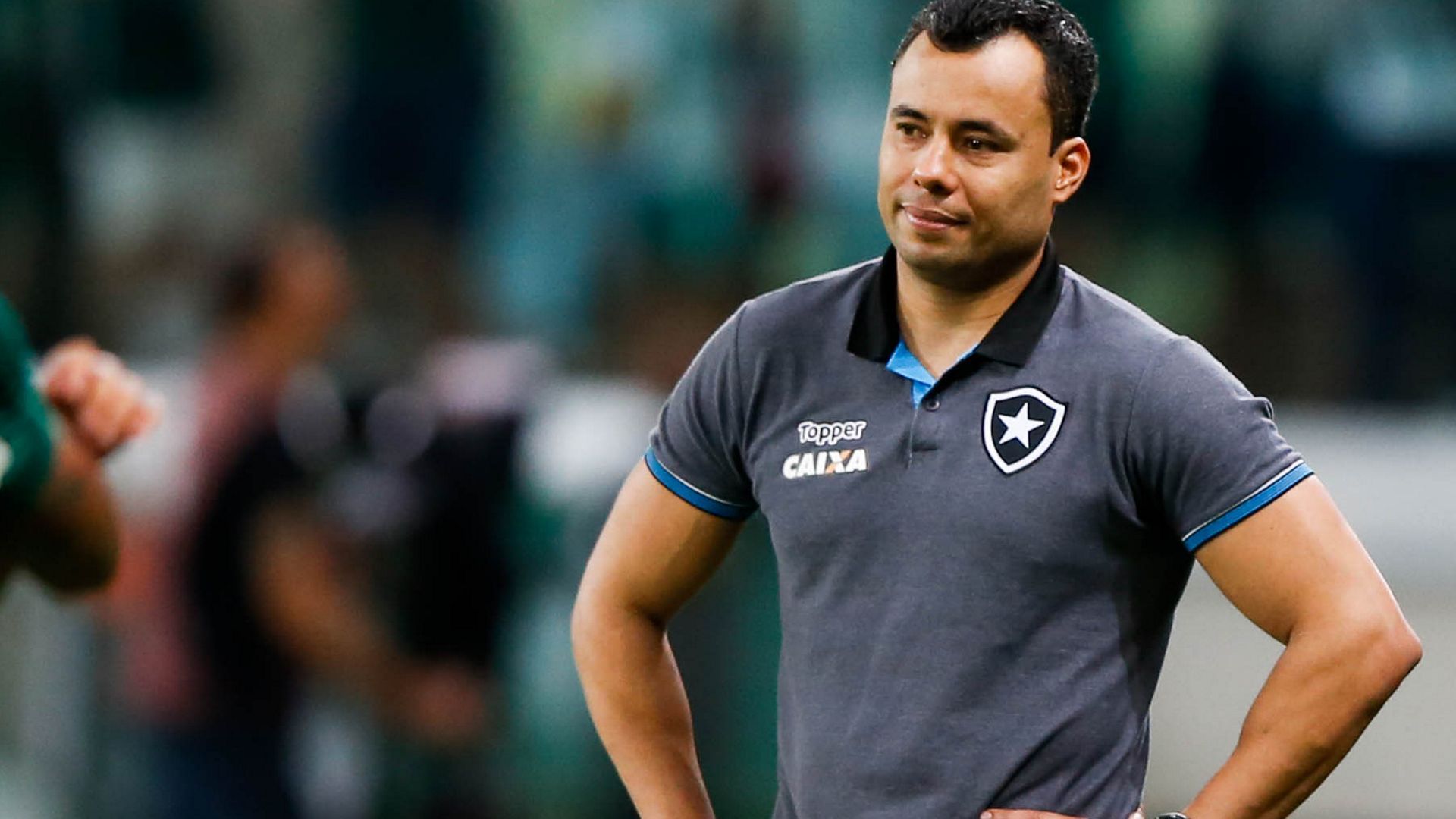 Jair Ventura Palmeiras Botafogo Brasileirao Serie A 27112017