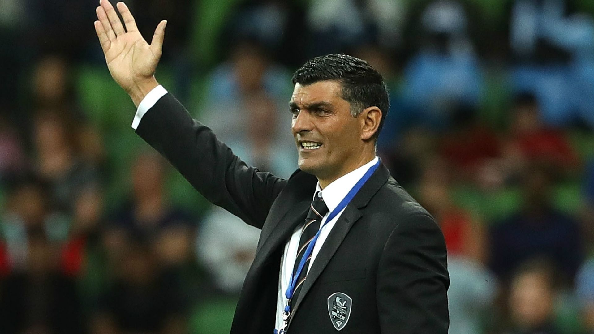 John Aloisi Melbourne City v Brisbane Roar A-League 11022017